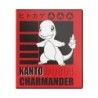 Pokémon - Charmander 2" Album