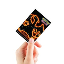 Pokémon - Charizard APEX Deck Protector Sleeves (105)