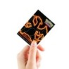 Pokémon - Charizard APEX Deck Protector Sleeves (105)