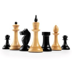 Set d'échecs Gambit Deluxe - case 50mm