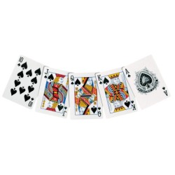 Pokerchips - mallette en aluminium