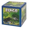 Bingo