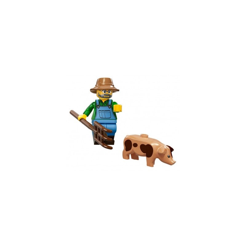 LEGO Minifigure Serie 15 71011 Contadino