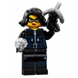 LEGO Minifiguren Serie 15 71011 Steindiebin