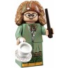 LEGO Harry Potter Minifiguren Serie 1 71022 Sybill Trelawney
