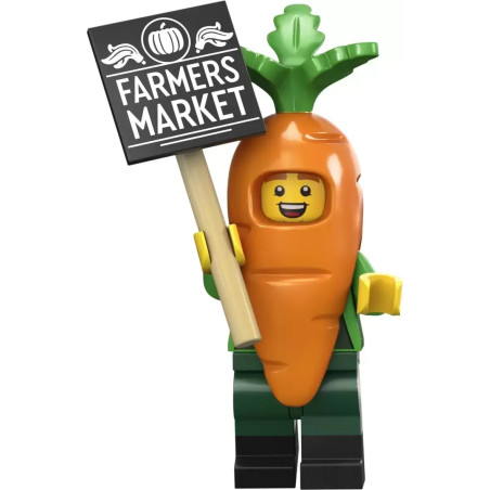 LEGO Minifigure Serie 24 71037 Mascotte carota