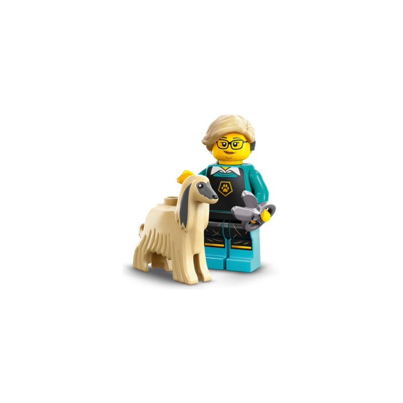 LEGO Minifigure Serie 25 71045 Toelettatrice per cani