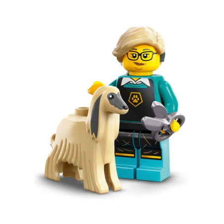 LEGO Minifigure Serie 25 71045 Toelettatrice per cani